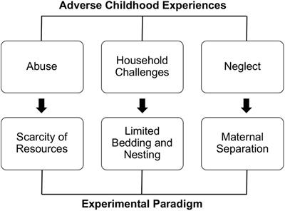 At the Crossroad Between Resiliency and Fragility: A Neurodevelopmental Perspective on Early-Life Experiences